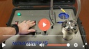 NovaGenesis Controls Overview