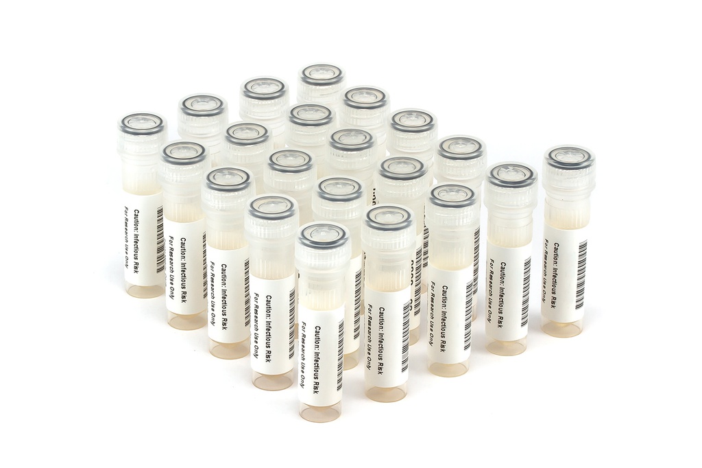 NATFRVP-C NATtrol Influenza/RSV Verification Panel