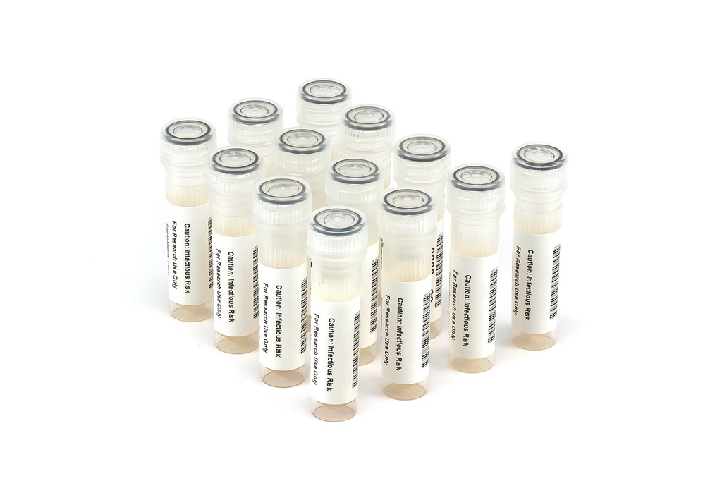 HBV11029 HBV Seroconversion Panel Donor n. 69751 (13x 1 ml)