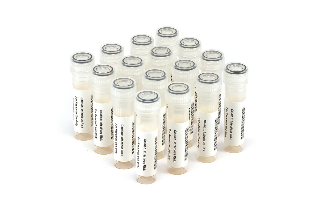 HCV10029 HCV Seroconversion Panel Donor n. 67539 (14x 1 ml)