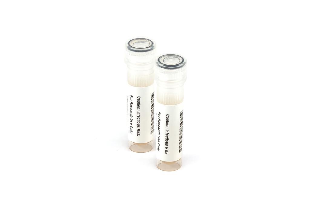 KZMC034 RSV Rapid Test Control Pack