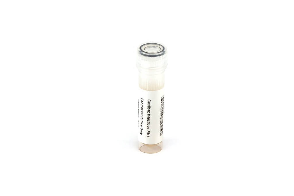 0810507CFHI Influenza B Yamagata Lineage (Brisbane/3/07) - CFHI