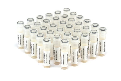[HBV11013] HBV11013 HBV Seroconversion Panel Donor n. 67962 (35x 1 ml)