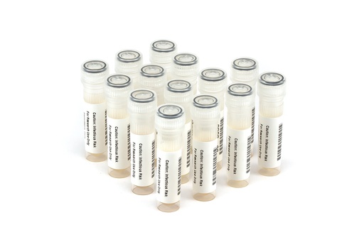 [HBV6282] HBV6282 HBV Seroconversion Panel Donor n. 62675 (14x 1 ml)