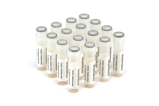 [HBV6285] HBV6285 HBV Seroconversion Panel Donor n. 62967 (16x 1 ml)