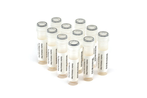 [HCV10007] HCV10007 HCV Seroconversion Panel Donor n. 67355 (11x 1 ml)