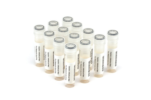 [HCV10012] HCV10012 HCV Seroconversion Panel Donor n. 66747 (13x 1 ml)