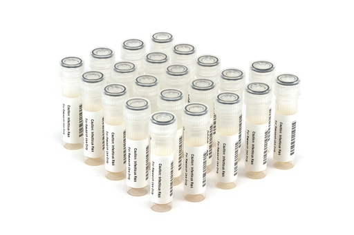 [HCV6223] HCV6223 HCV Seroconversion Panel Donor n. 62507 (22x 1 ml)